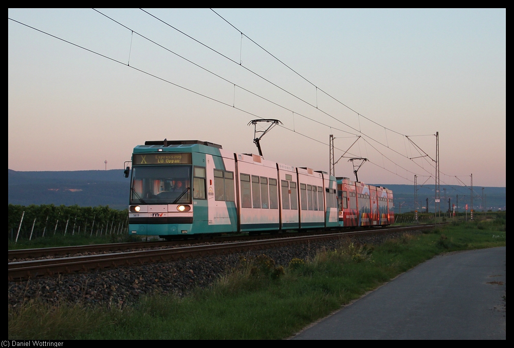 Wagen 5619 fhrt am morgen des 06. September 2010 eine Doppeltraktion in die Chemiestadt Ludwigshafen an.