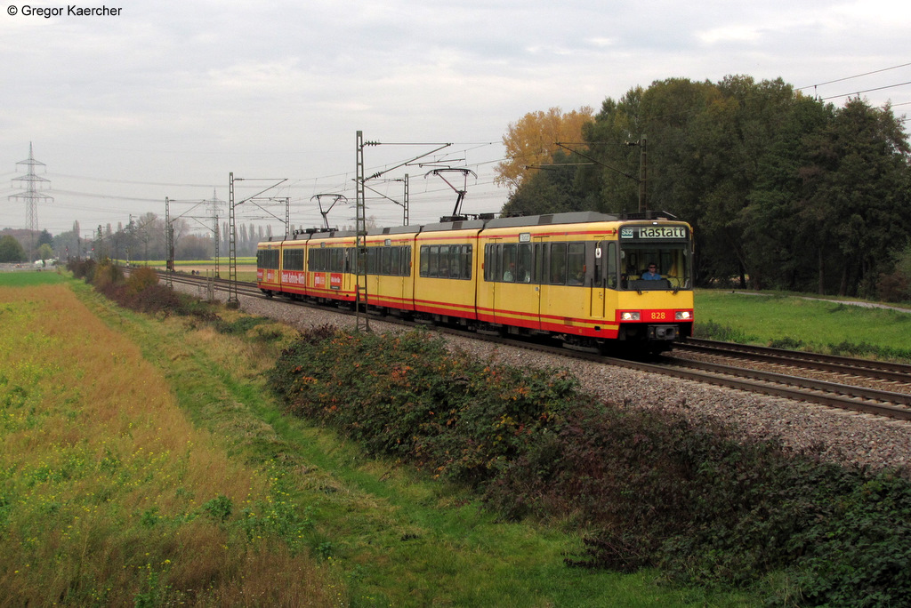 Wagen 828 und 817 als S32 von Menzingen nach Rastatt kurz vor Ettlingen West. Aufgenommen am 29.10.2011.