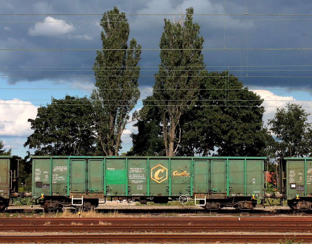 Wagenfarbe passend zur Natur. Offener Gterwagen der Bauart Eaos des polnischen Wageneinstellers CARBO (51 PL-CARBO 533 1733-4), am 11.08.2012 im Bf Oranienburg abgestellt.