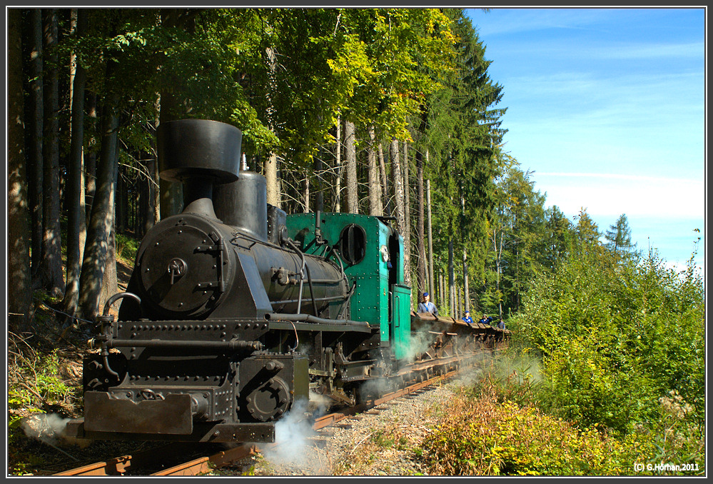 Waldbahnfeeling pur in Tschechien. Lok 5  Petka  der Industriebahn Mladejov kurz vor der vorlufigen Endstelle der Bahn in Nova Ves. 11.9.2011