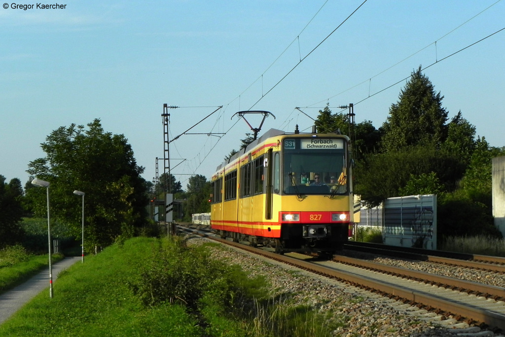 Was bei Hitze fter zu beobachten ist, konnte ich am Abend des 27.06.2011 bei Bruchhausen im Bild festhalten: Die Fahrer der S-Bahn Karlsruhe fahren bei Hitze auch mal mit offener Tr. So auch in diesem Bild. Triebwagen 827 im goldenen Abendlicht als S31 nach Forbach (Schwarzwald) kurz vor Bruchhausen.