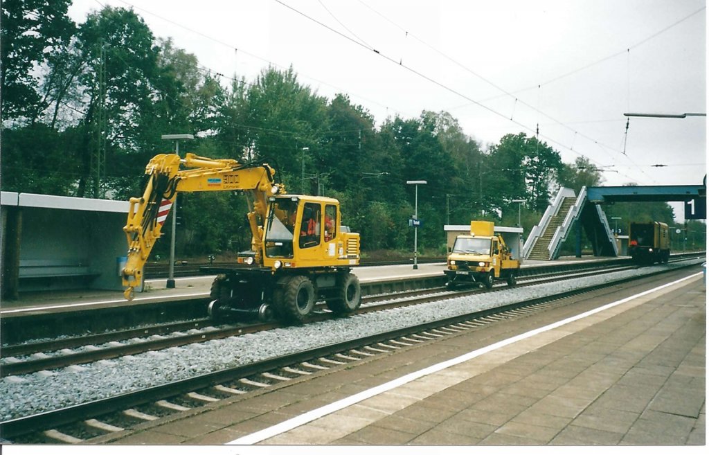 Was kommt den da! Interessant, sieht man(n) auch nicht alle Tage. Die Schwei�truppe auf den  Heimweg  nach Buchholz i.d.Nordheide. Tostedt / Datum 11/2002  Bild gescannt