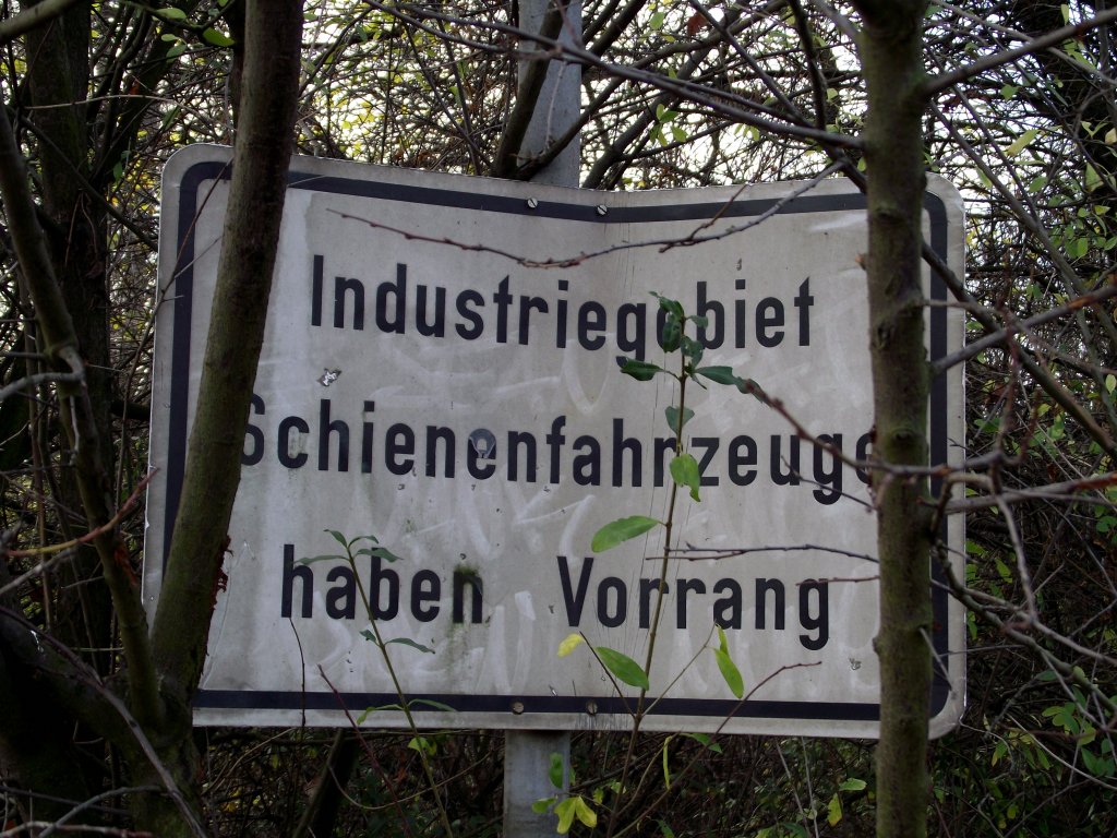 Was man so im Gestrpp in Ladenburg so alles findet am 20.11.11