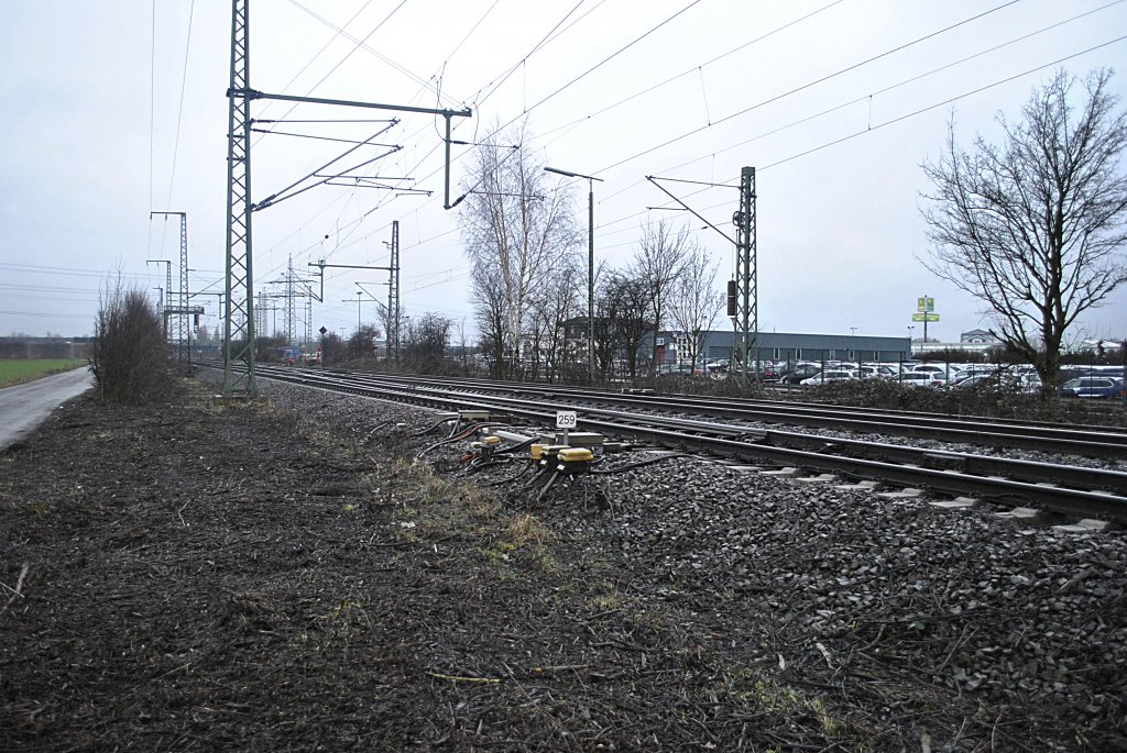Weiche 259, kurz hinter Lehrte, am 26.01.2011.