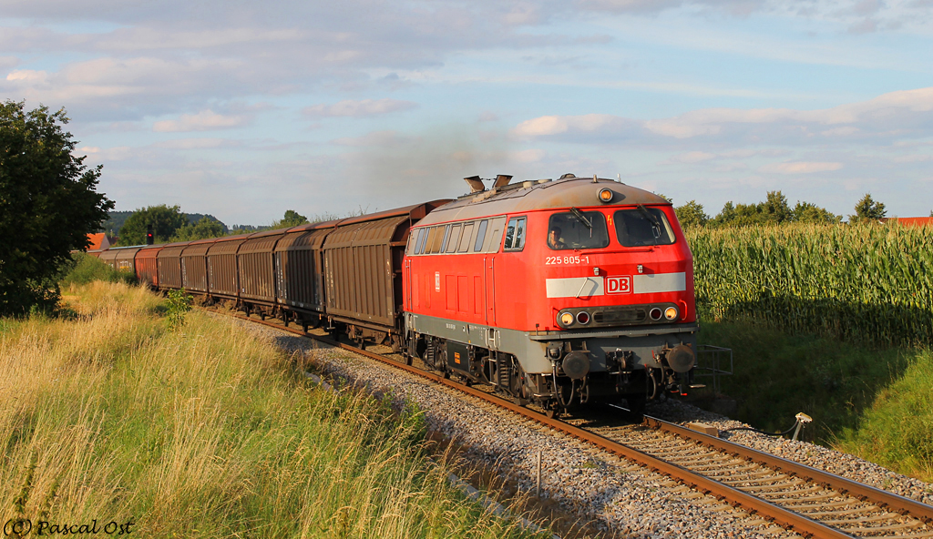 Weil die Lok so schn ist, gibt es dieses Bild ausnahmsweise mal in einer greren Version. ;-) Zu sehen ist 218 005, die sich DB-intern wohl auch als 225 805-1 ausgibt, am 8. August 2012 mit EK 56209 nach Ulm Rbf am Einfahrsignal von Sontheim an der Brenz. 