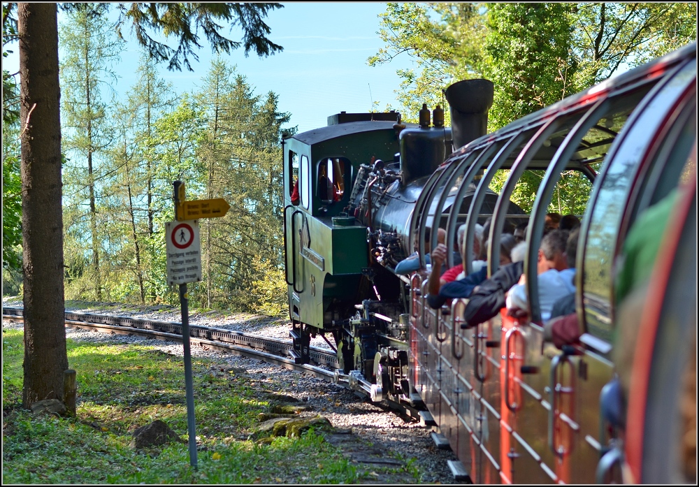 Weiter nach oben. Im Wald oberhalb Brienz (Oktober 2011)