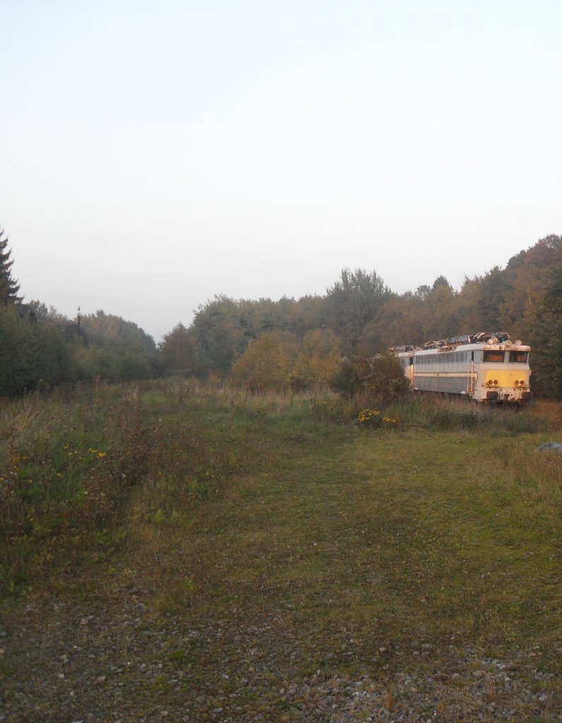 Wer schaut denn da aus dem Wald?Na es ist die 1806!...dieses Bild teuscht aber,denn direkt lins befindet sich eine groe Halle,worin diese wunderschne Lok hoffentlich bald aufgearbeitet wird.Raeren am 13.10.10.
