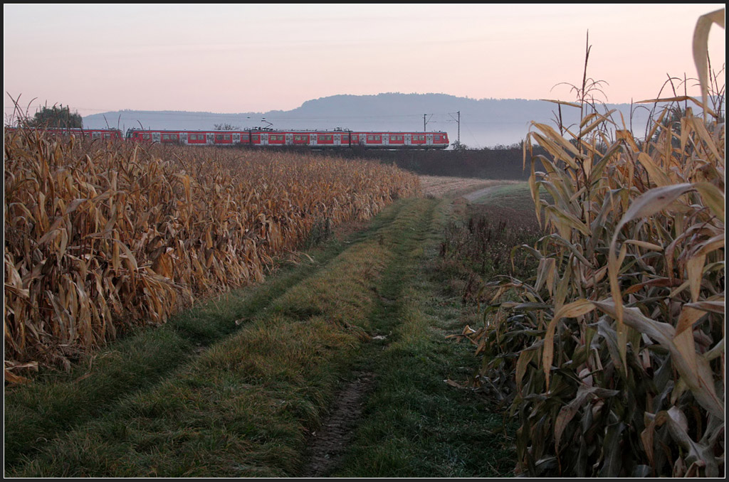 Wie  letztes Jahr - 

Herbst im Remstal bei Weinstadt-Endersbach. Ein S-Bahnzug der Linie S2 auf der Fahrt in Richtung Schorndorf. 2010 habe ich dort ganz ähnliche Aufnahmen gemacht. 

28.10.2011 (M)