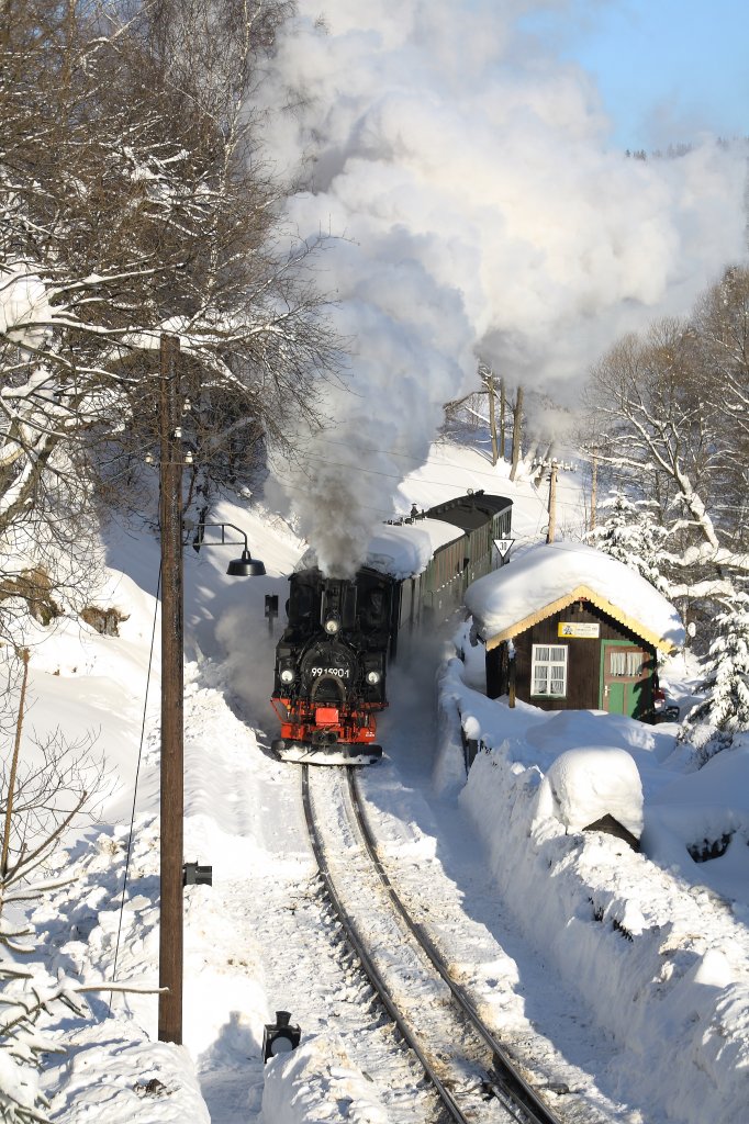 Winterdampf im Prenitz - und Schwarzwassertal. 99 590 hat am 28.12.10 den Bahnhof Jhstadt fast ereicht. 

