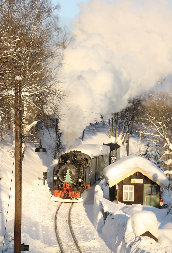 Winterdampf im Prenitz - und Schwarzwassertal. 99 715 hat am 28.12.10 den Bahnhof Jhstadt fast ereicht. 
