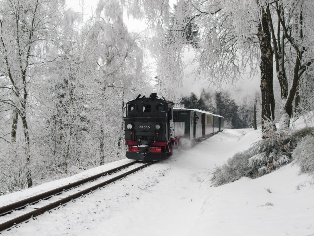 Winterferiendampf 2011 in Schnheide. Am 20.02.11 ist 99 516 zwischen  Schnheide und Neuheide zusehen.