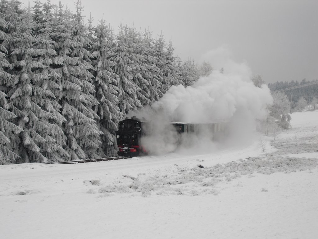 Winterferiendampf 2011 in Schnheide. Am 20.02.11 ist 99 516 zwischen  Neuheide und Sttengrn unterwegs. 
