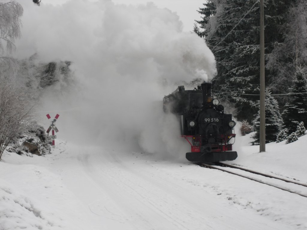 Winterferiendampf 2011 in Schnheide. Am 20.02.11 ist 99 516 zwischen Sttzengrn und Neuheide unterwegs. 