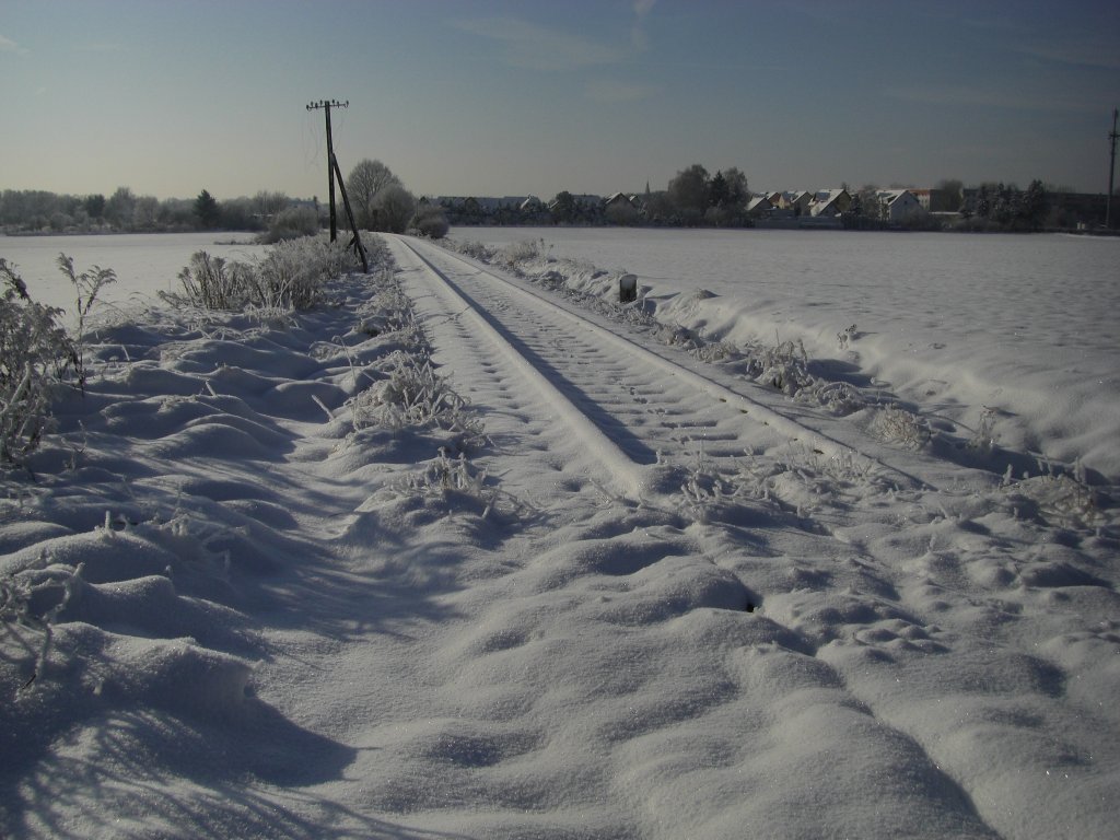 Winterliche Ruhe an der stillgelegten Bahnstrecke Pretzsch-Eilenburg,05.01.2010