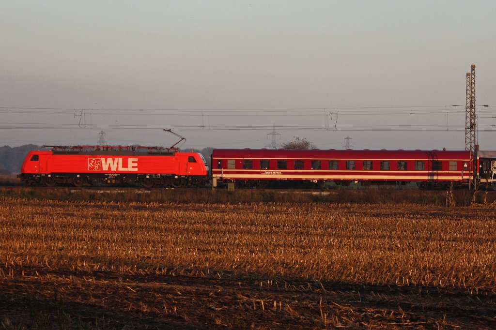 WLE 81 am 28.10.12 in Hrth-Fischenich.