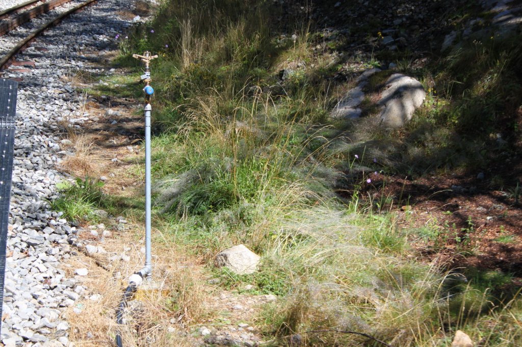 Wohl einmalig? Eine fest installierte Sprinkleranlage(ca.alle 15m ein Sprinkler)an der Strecke zwischen Oberwald und Gletsch gegen Waldbrand durch Funkenflug der Dampfloks.28.08.11