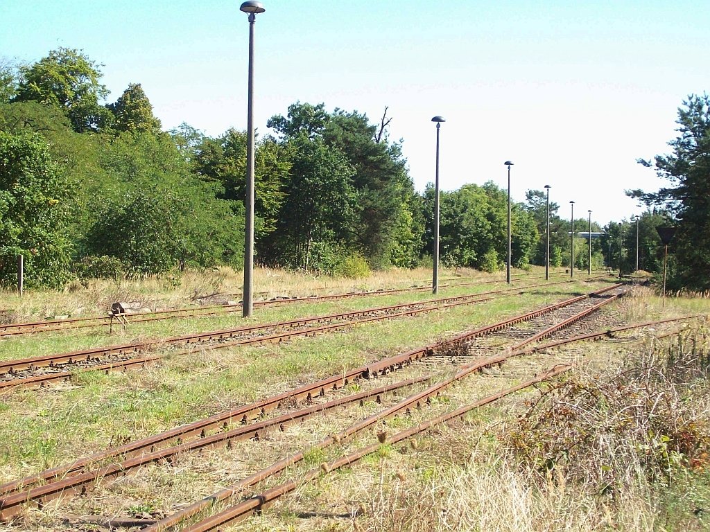WST der Eberswalder Industriebahn am Mischfutterwerk Blickrichtung Eberswalde am 31.08.2008