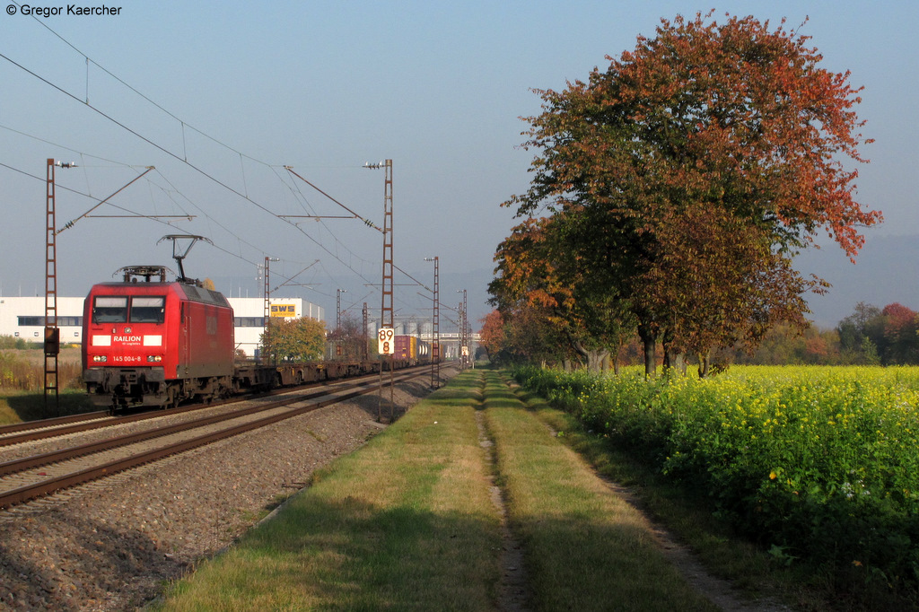 Wunderschn herbstlich und mit blhendem Ackersenf prsentierte sich die schne Fotostelle bei Malsch im Herbst 2011. Dort konnte am 31.10.2011 die 145 004-8 mit einem Containerzug fotografiert werden.