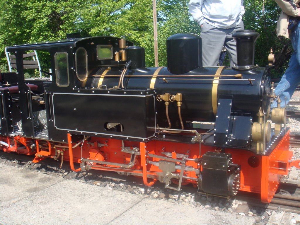 Yse Bhnli am Rhy Lok Mecklenburg 7,25 Zoll