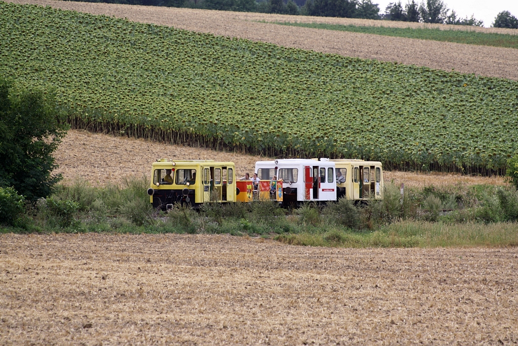 Zayataler Schienentaxi, bestehend aus VSS X626.172, X501.0002, X501.6113 und X626.144 (v.L.n.R.), am 11.August 2013 kurz vor der Endstelle Mistelbach Interspar.

