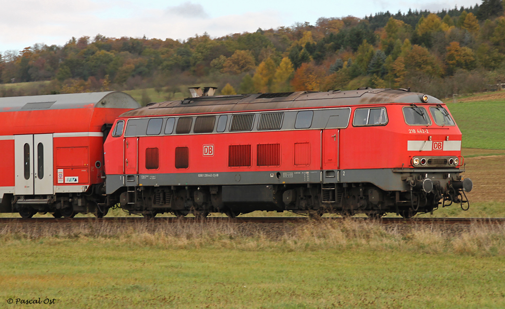 Zeitlos elegant, die Baureihe 218. Hier die Frankfurter 218 442-2 im Portrait. Aufgenommen am 2. November 2012 auf der Niddertalbahn bei Glauburg-Glauberg.