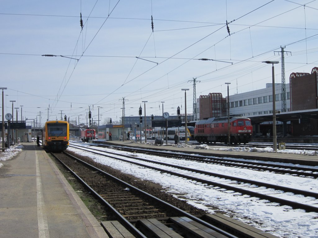 Zge im Bahnhof Cottbus am 25.03.13