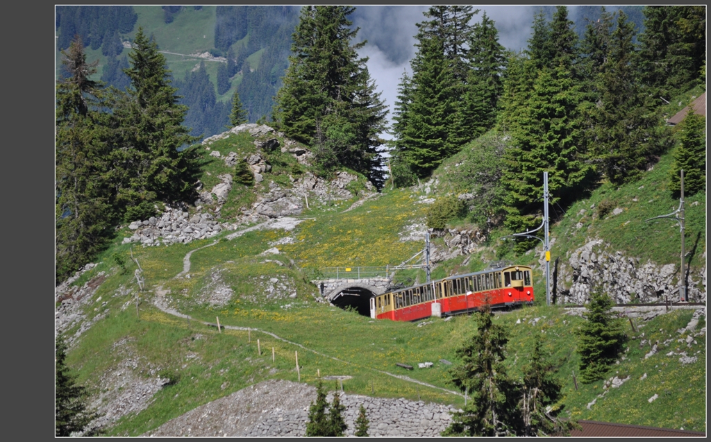 Zug 642 taucht in den Tunnel am Grtli ein. Im Vordergrund ist der Wanderweg nach Breitlauenen zu sehen. (27.06.2012)