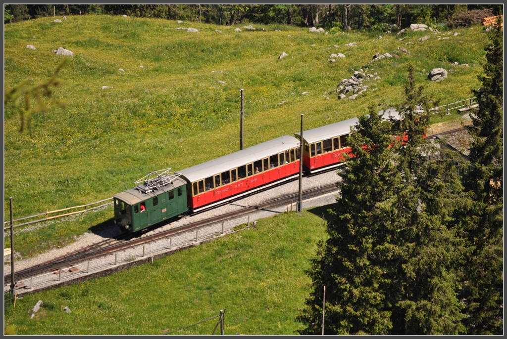 Zug 646 mit der grnen 63 verlsst Breitlauenen. (27.06.2012)