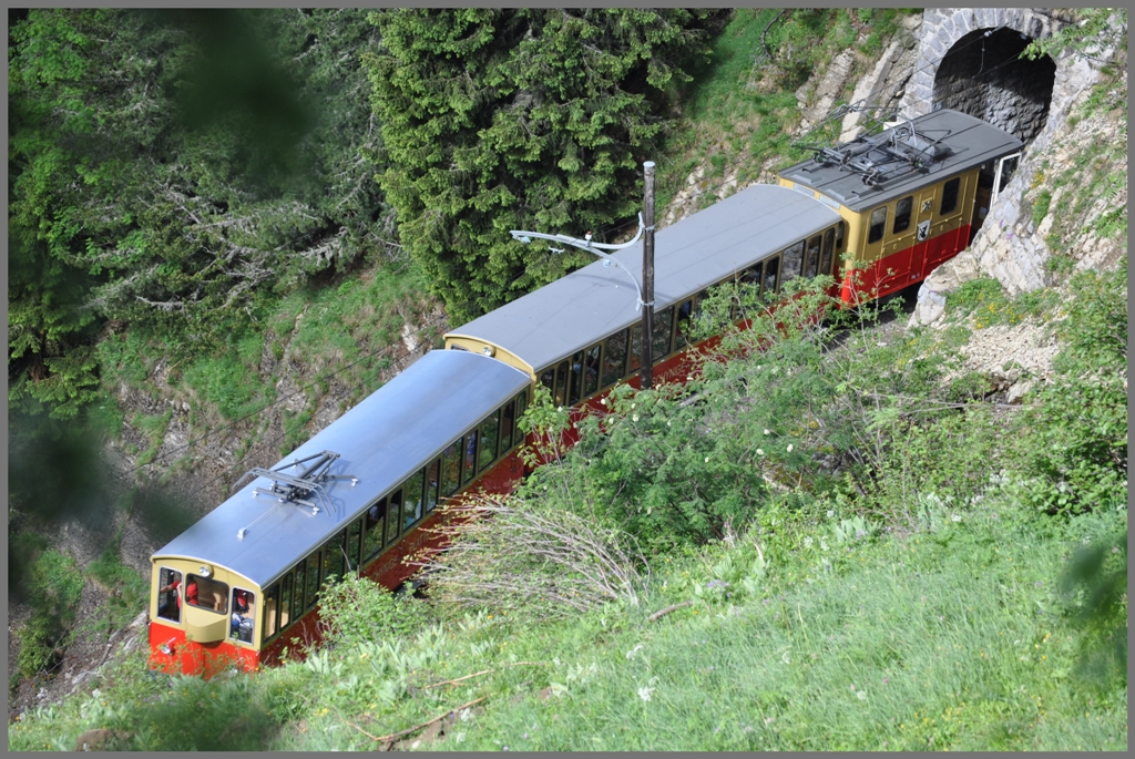 Zug 649 mit Lok 20 taucht aus dem Stepfeggtunnel auf. (27.06.2012)
