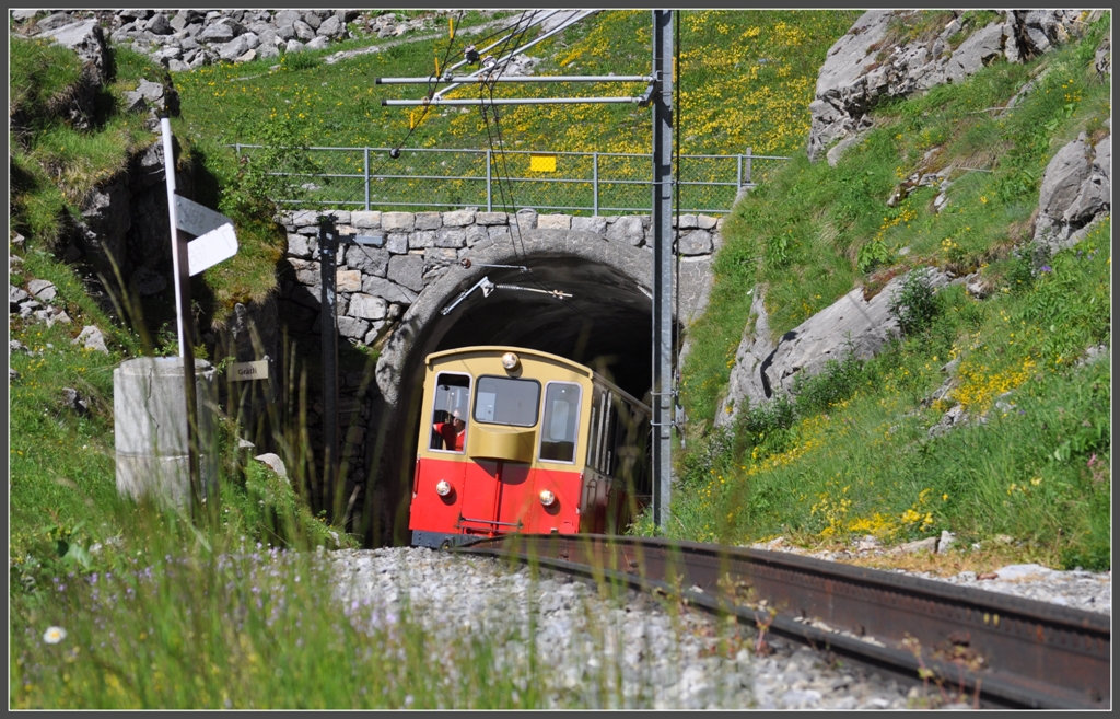 Zug 651 taucht aus dem Tunnel am Grtli. (27.06.2012)
