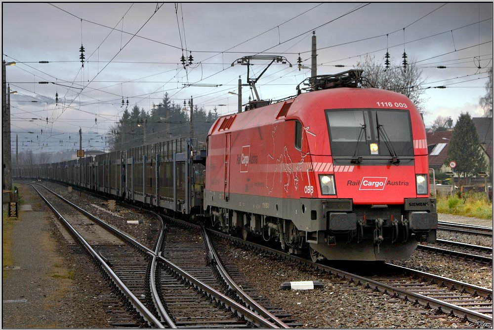 Zum ersten Mal im Aichfeld zeigte sich die Zuckerlrosa 1116 003  Rail Cargo Austria  bei sehr bescheidenem Wetter.Unterwegs war sie mit dem Autoleerzug 48120 von Tarvisio nach Bratislava.
Zeltweg 19.11.2009