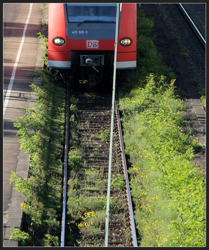 Zunehmend grün -

Im Straßenbahnbereich ist der grüne Gleiskörper häufig schon Standard. Hier im Bahnhof Esslingen am Neckar versucht es die Natur von selbst sich auch im Gleisbereich auszubreiten. 

10.10.2010 (M)