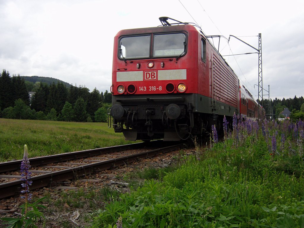 Zur Lupinienblte an die Drei-Seen-Bahn. 143 316-8 verlsst am 24.06.2011 mit der Regionalbahn von Freiburg (Brsg.) nach Seebrugg den Haltepunkt Altglashtten-Falkau.