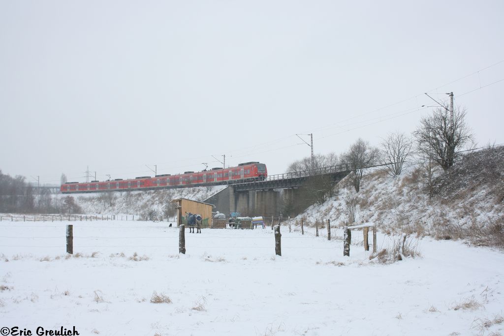Zwei 424/425er am 16.01.13 in der Ahlemer Kurve.