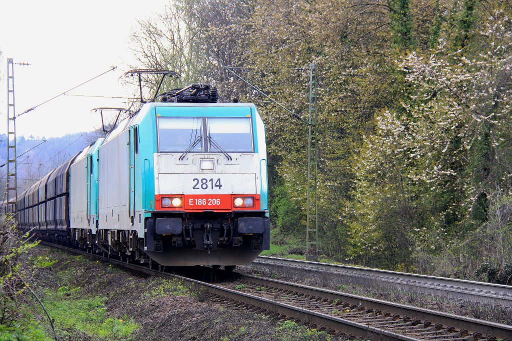 Zwei Cobra 2814 und 2832 kommen mit einem Kohlenzug aus Antwerpen-Zandvliet(B) nach Dillingen(an der Saar) und fahren die Gemmenicher-Rampe herunter nach Aachen-West.
Aufgenommen am Gemmenicher-Weg bei Gegenlicht am 12.4.2012.