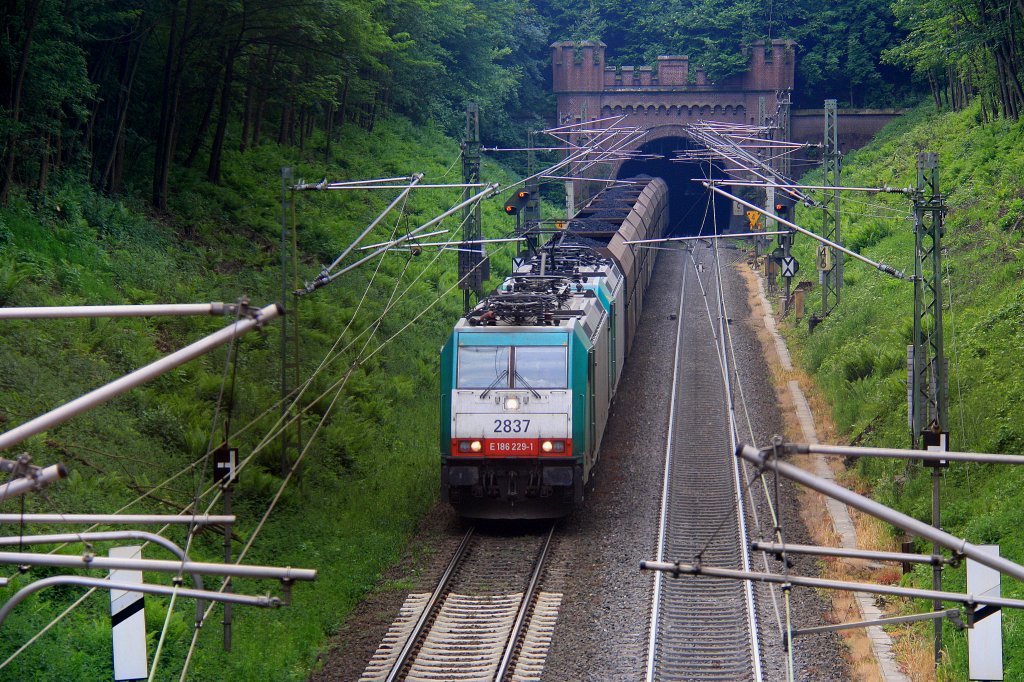 Zwei Cobra 2837 und 2823 kommen mit einem sehr langen Kohlenzug aus dem Gemmenicher Tunnel von Zandvliet(B) nach Mannheim(D) und fahren in Richtung Aachen-West.
Aufgenomen in Reinartzkehl am 29.5.2012.