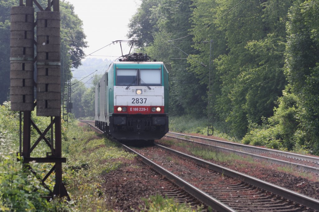 Zwei Cobra 2837 und Cobra 2842 kommen als Lokzug aus Montzen(B) und fahren nach Aachen-West.
Aufgenomen am Gemmenicher-Weg bei Sommerwetter.
21.5.2011