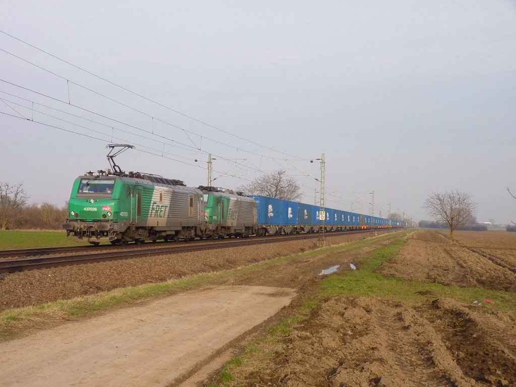 Zwei Frettchen fuhren am 23.2.11 mit einem langen Containerwagenzug bei Ha�loch (Pfalz) Richtung Kaiserslautern.