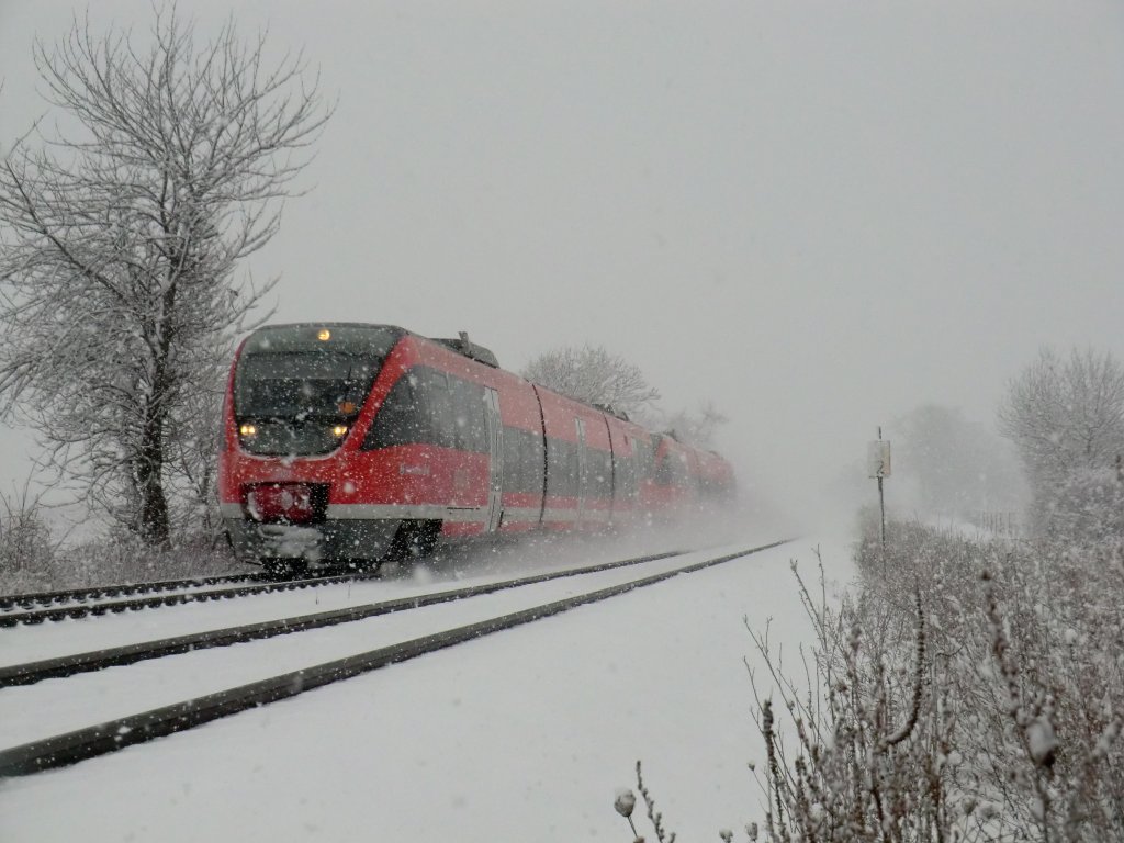Zwei der  neuen  Triebzge BR 643 erwischte ich am 20.12.10 bei starkem Schneefall bei Edesheim.