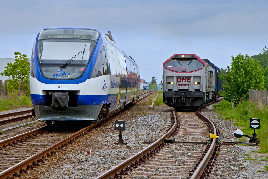 Zwei Talente-Typen bei der Kreuzung und ein Red Tiger auf der Lauer. - 28.05.2010
