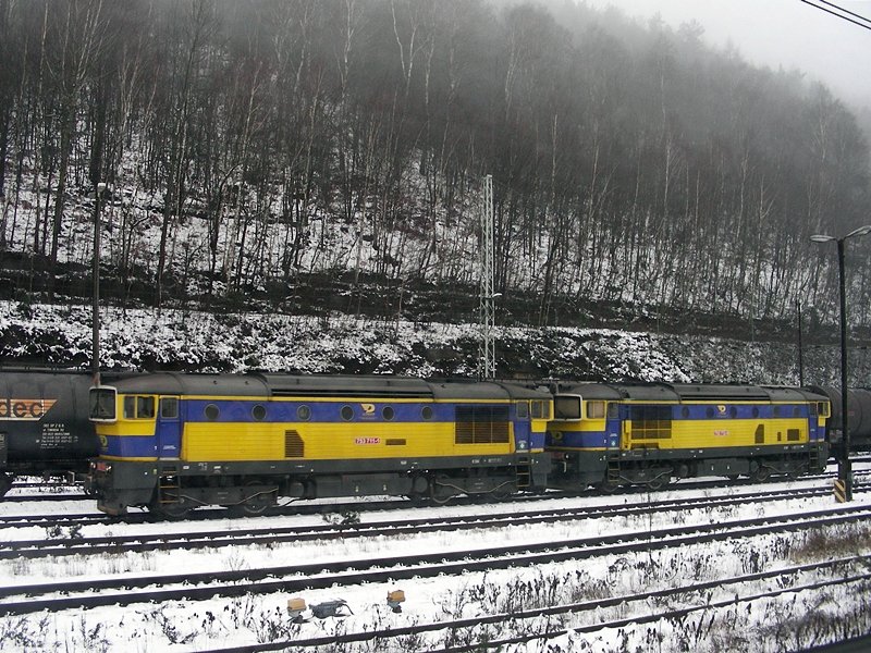 zwei  Taucherbrillen  im Bf Bad Schandau am 29.12.06