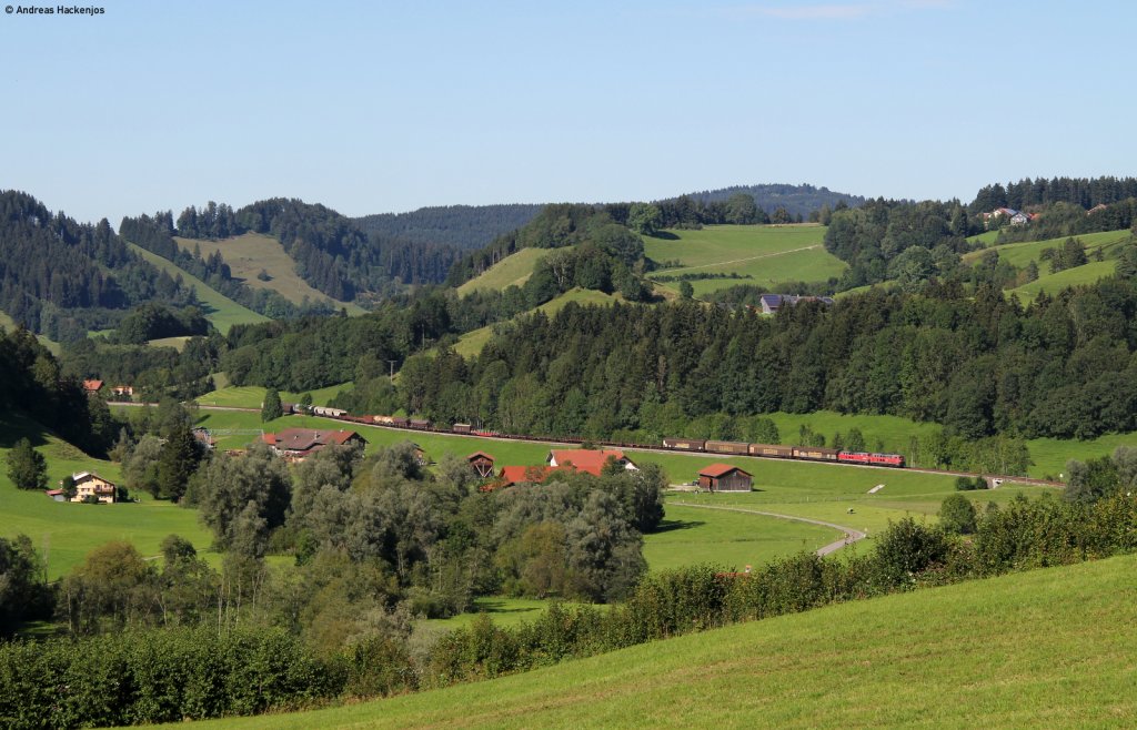 Zwei unbekannte 225er mit dem FS 45197 bei Obertalhofen 17.8.11