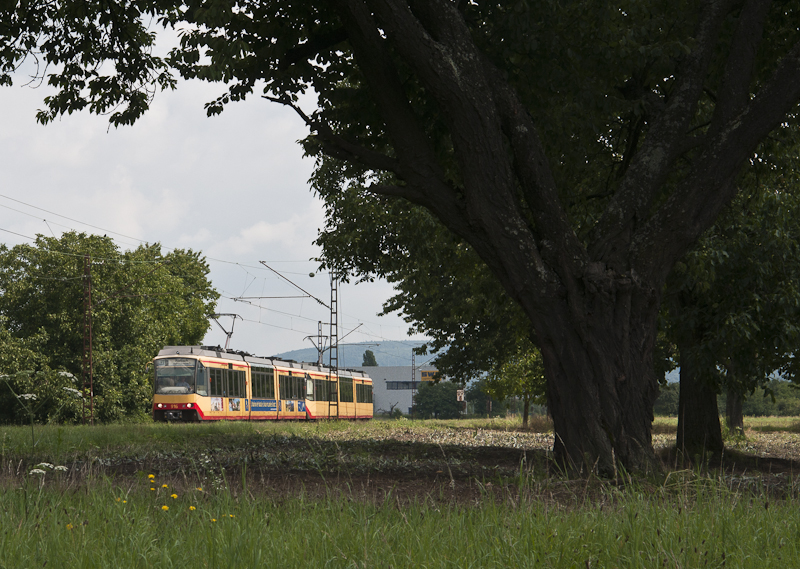 Zwei Zweisystemstraenbahnen des Types GT8-100D der AVG am 6. August 2010 als S31 nach Forbach, aufgenommen bei Muggensturm.