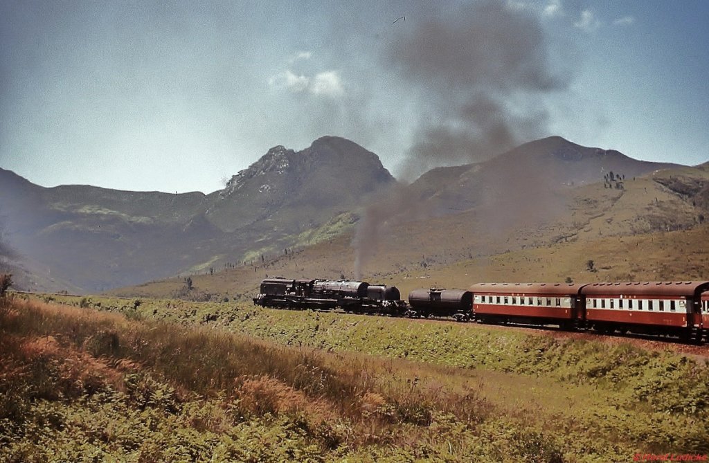 Zwischen George und Oudtshoorn muss die Bahn von Kapstadt nach Port Elizabeth den Montagu-Pass erklimmen. Dies ist bei einer maximalen Steigung von 1:36 nur durch zahlreiche enge Kurven möglich, die dem Fotografen im hinteren Zugteil immer wieder Fotos wie dieses ermöglichten. Im November 1976 war diese Strecke noch fest in der Hand der GMAM. 