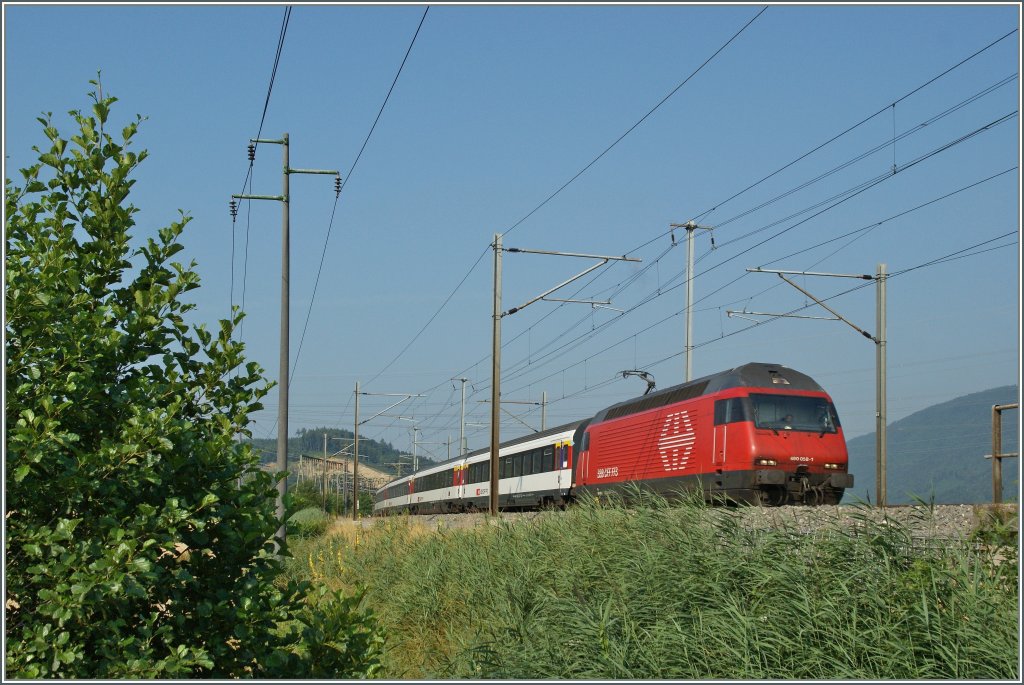 Zwischen Pieterlen und Lengnau, auf der anderen, sonnigen Seite des Bahndamms, an der Leugenen zeigt sich die Re 460 058-1 mit ihrem IR 2117 Biel/Bienne - Konstanz. 
23. Juli 2013