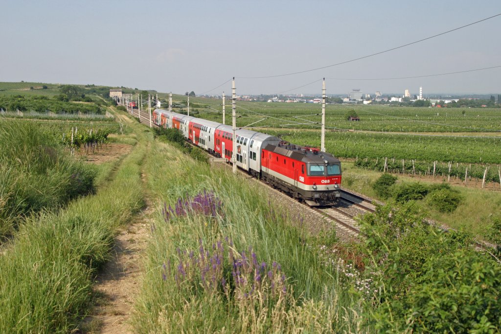 Zwischen den Weinstcken an der Sdbahn, fhrt 1144.123 mit R-2347 am 19.6.13