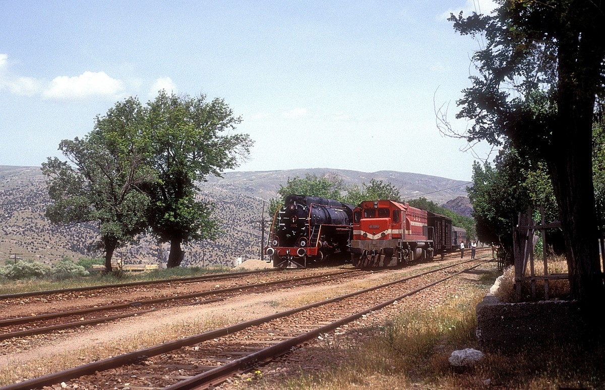  DE22 063  Kurbagali  13.06.92