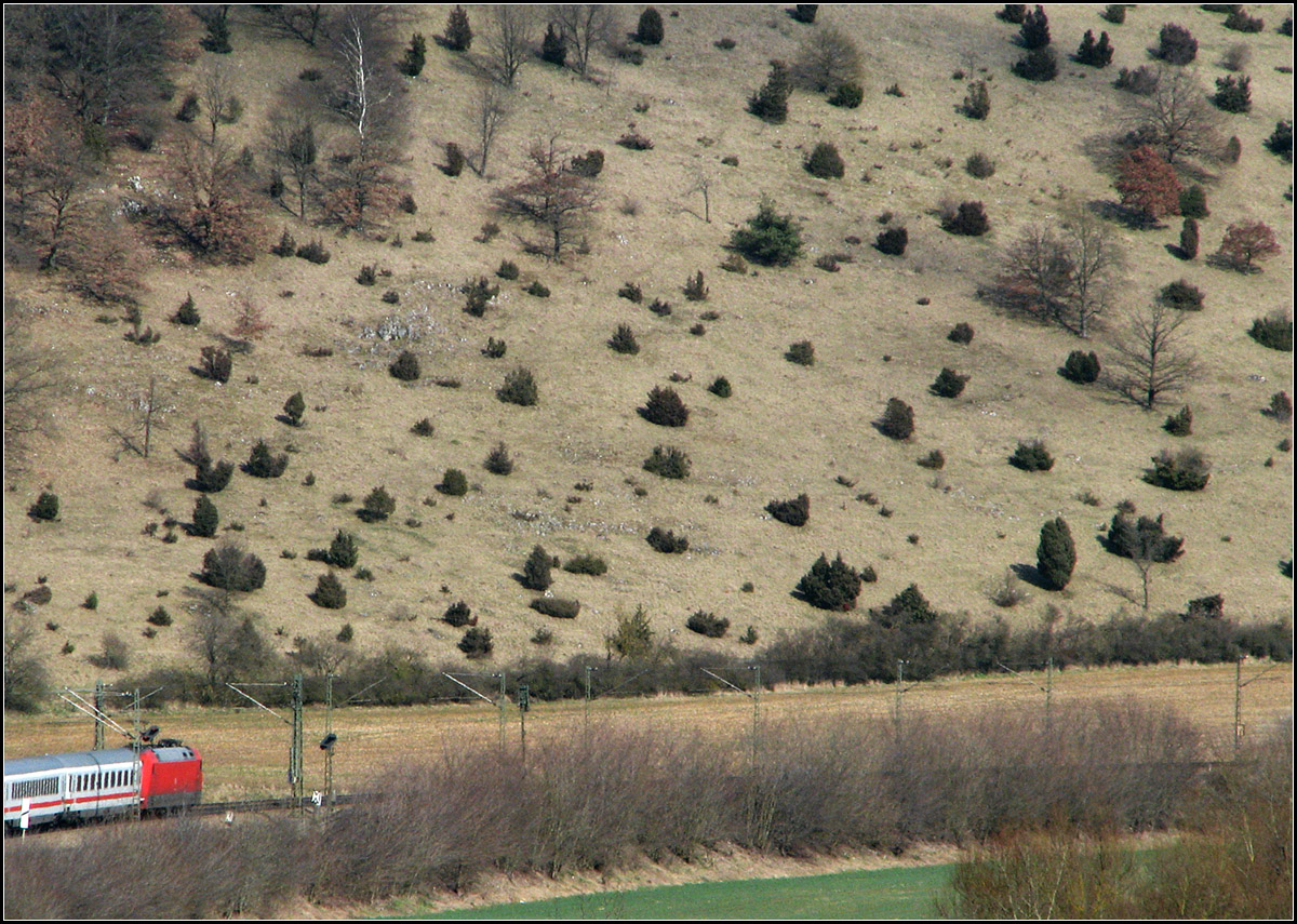 . Die Wacholderheide -

Mit der Bahn über die Schwäbische Alb: Hier zwischen Urspring und Lonsee an der Wacholderheide. 

19.03.2008 (J)