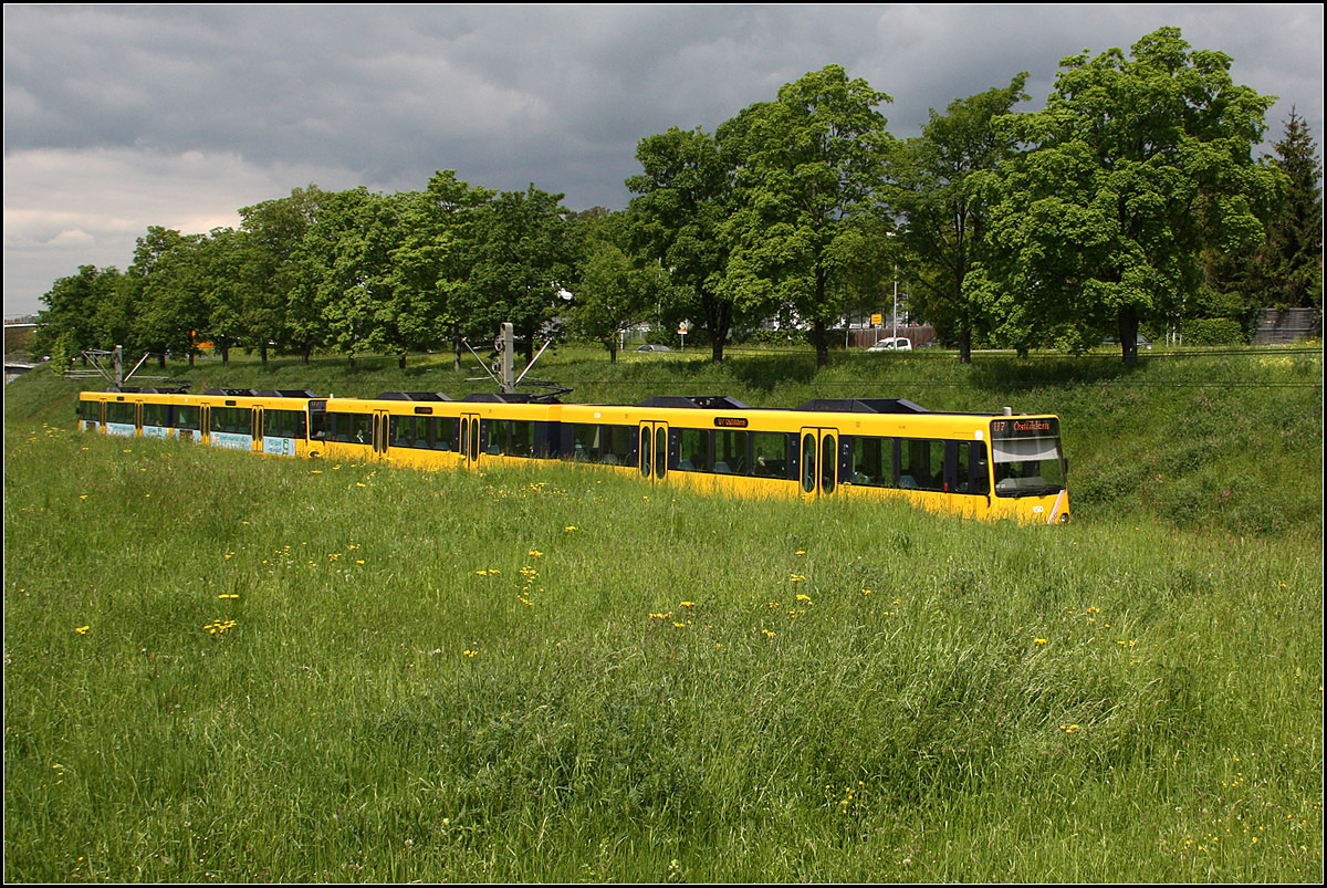 . Gelber Zug, abgetaucht ins Grün - 

Ein Stadtbahnzug auf der Linie U7 zwischen den Stationen Zinsholz und Parksiedlung in Ostfildern. Schade nur, dass der hintere Zug Werbung trägt. 

17.05.2017 (M)