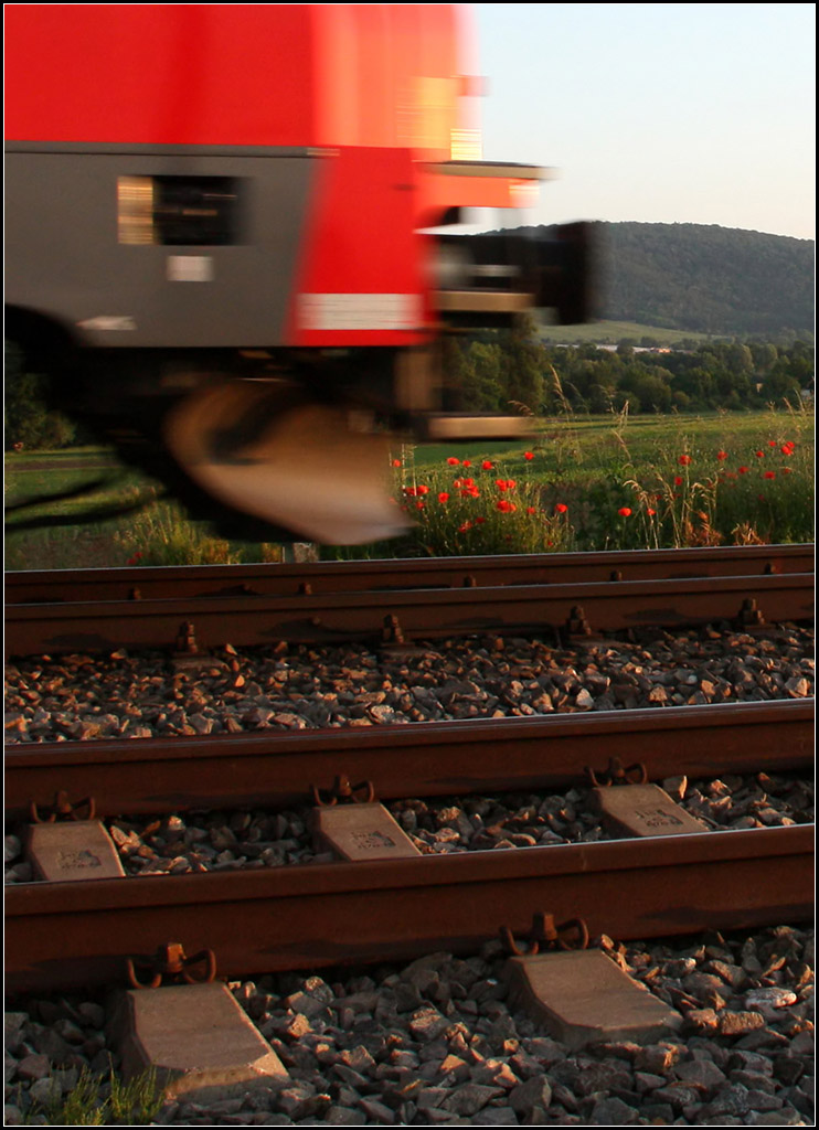 . Rote Blumen am Streckenrand -

... und darüber eine rote Lok (der Baureihe 446). Bei Weinstadt-Endersbach an der Remsbahn.

09.06.2016 (M)